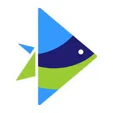 logo of invideo